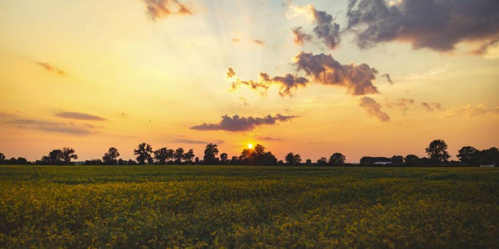 The Future of the NREL Solar Prospector